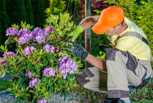 Gardener inspecting a hedge with tools at the ready