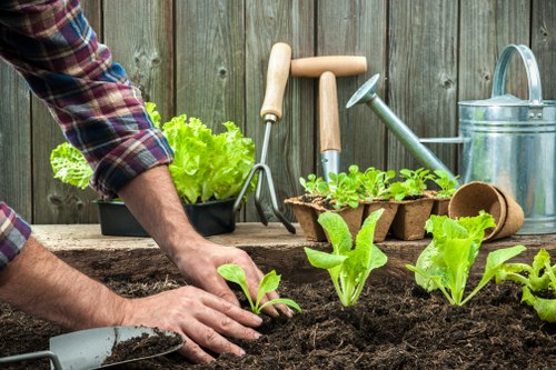 Professional gardeners at work in an Archway garden starting a job