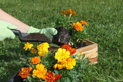 Professional landscaper planning a garden design in Archway