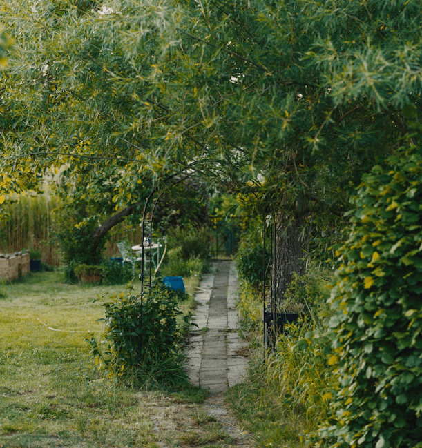 A narrow garden pathway made of weathered stone slabs runs through a lush, well-maintained front garden. On the left, a grassy lawn with patches of mown grass and a wooden raised flower bed containing